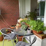 Welt Zu Gast Bei Freunden *