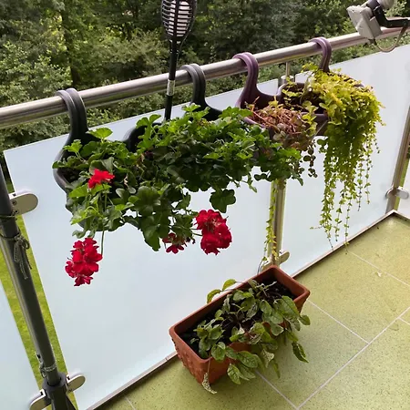 Welt Zu Gast Bei Freunden Гельзенкирхен