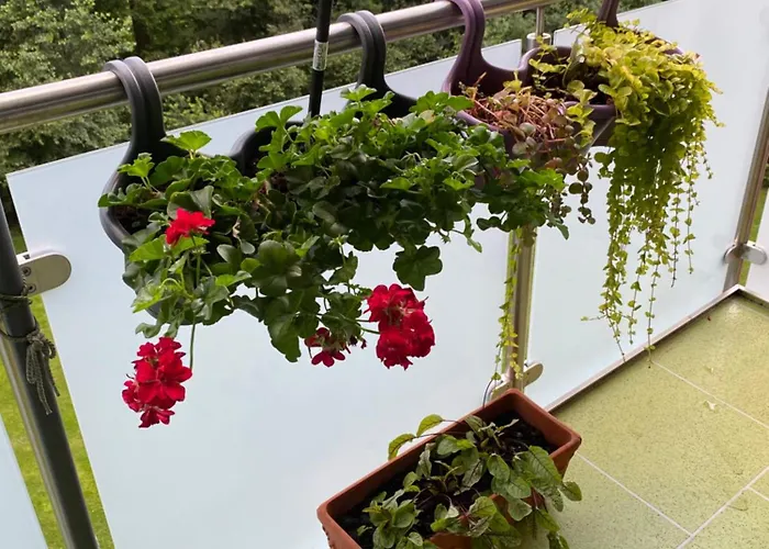 Welt Zu Gast Bei Freunden Гельзенкирхен