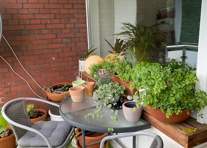 Welt Zu Gast Bei Freunden *