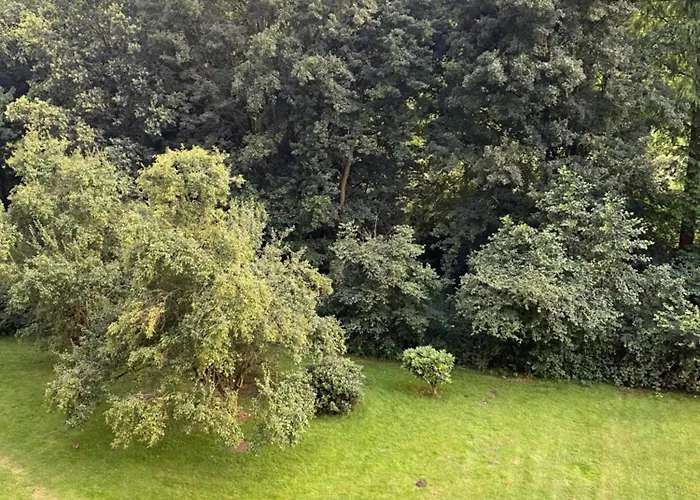 Welt Zu Gast Bei Freunden Gelsenkirchen